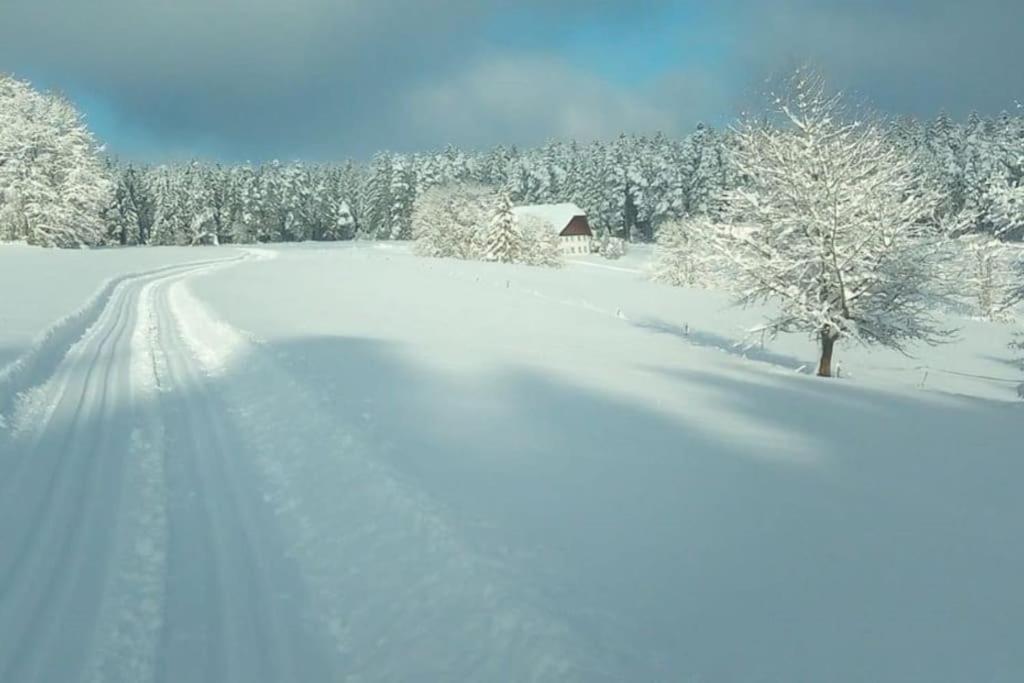 Ferienwohnung Im Schwarzwald Unterkirnach Dış mekan fotoğraf